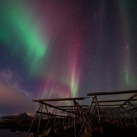 Fish Factory -The Real Lofoten Experience بولستاد المظهر الخارجي الصورة